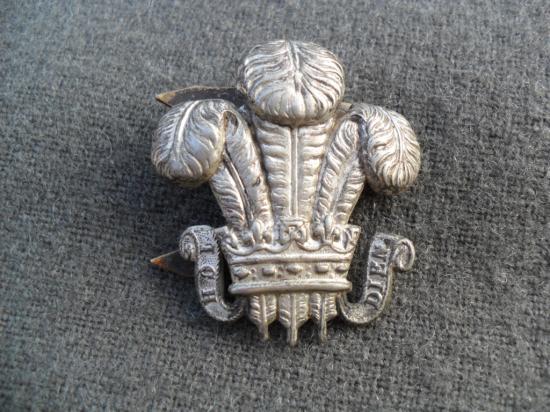 Mystery Early Edwardian Officer's Side Cap Badge